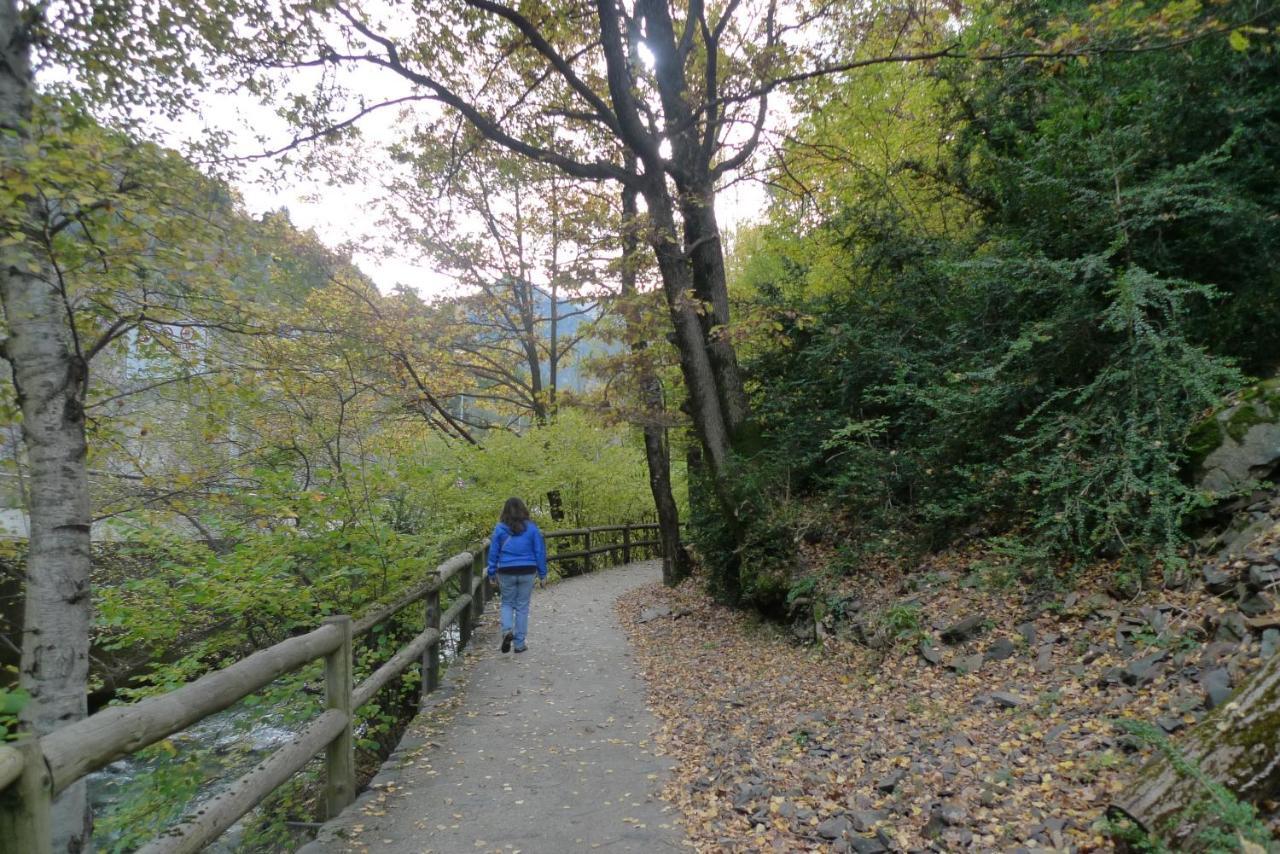 Park Càmping